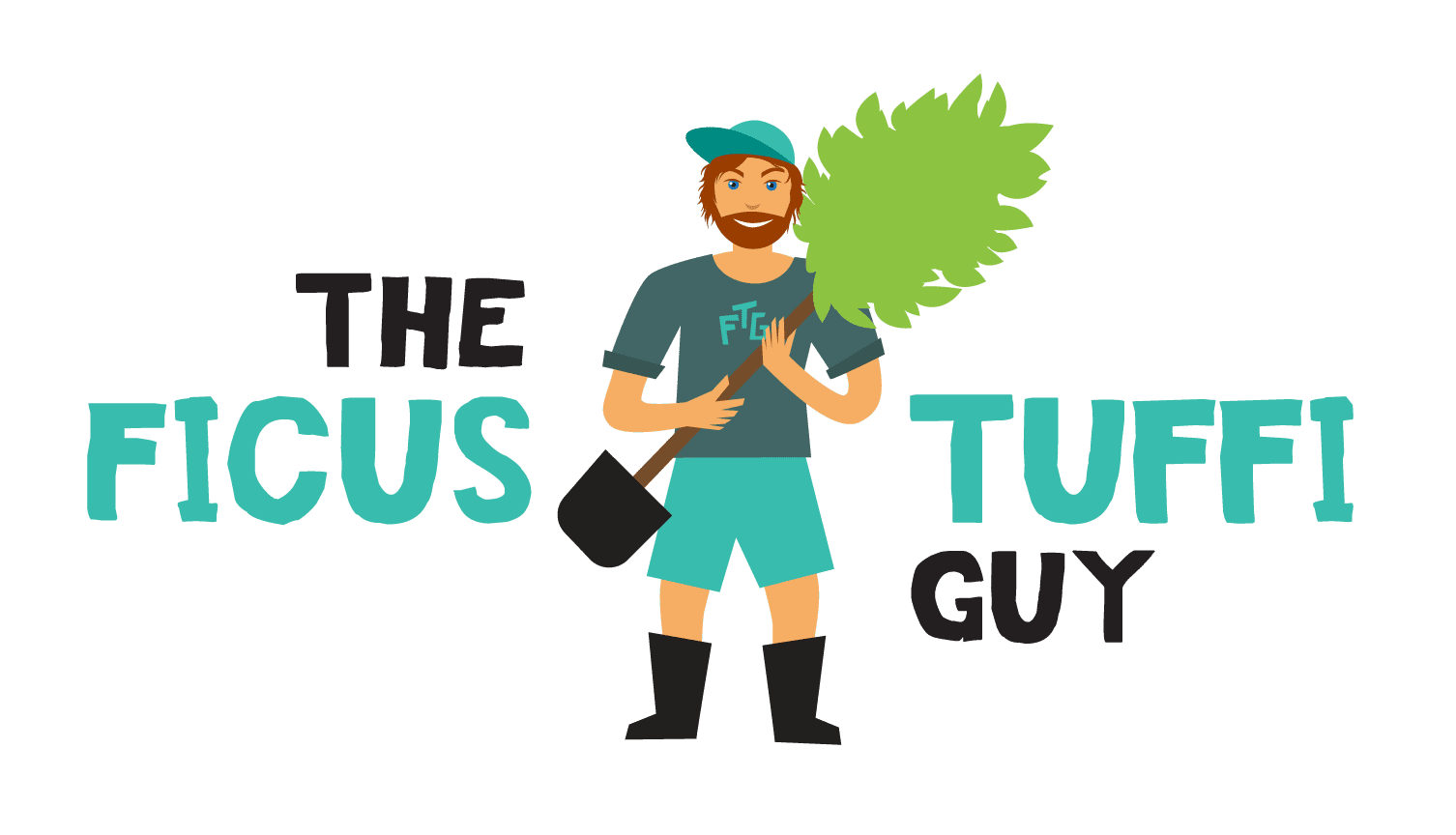 The Ficus Tuffi Guy